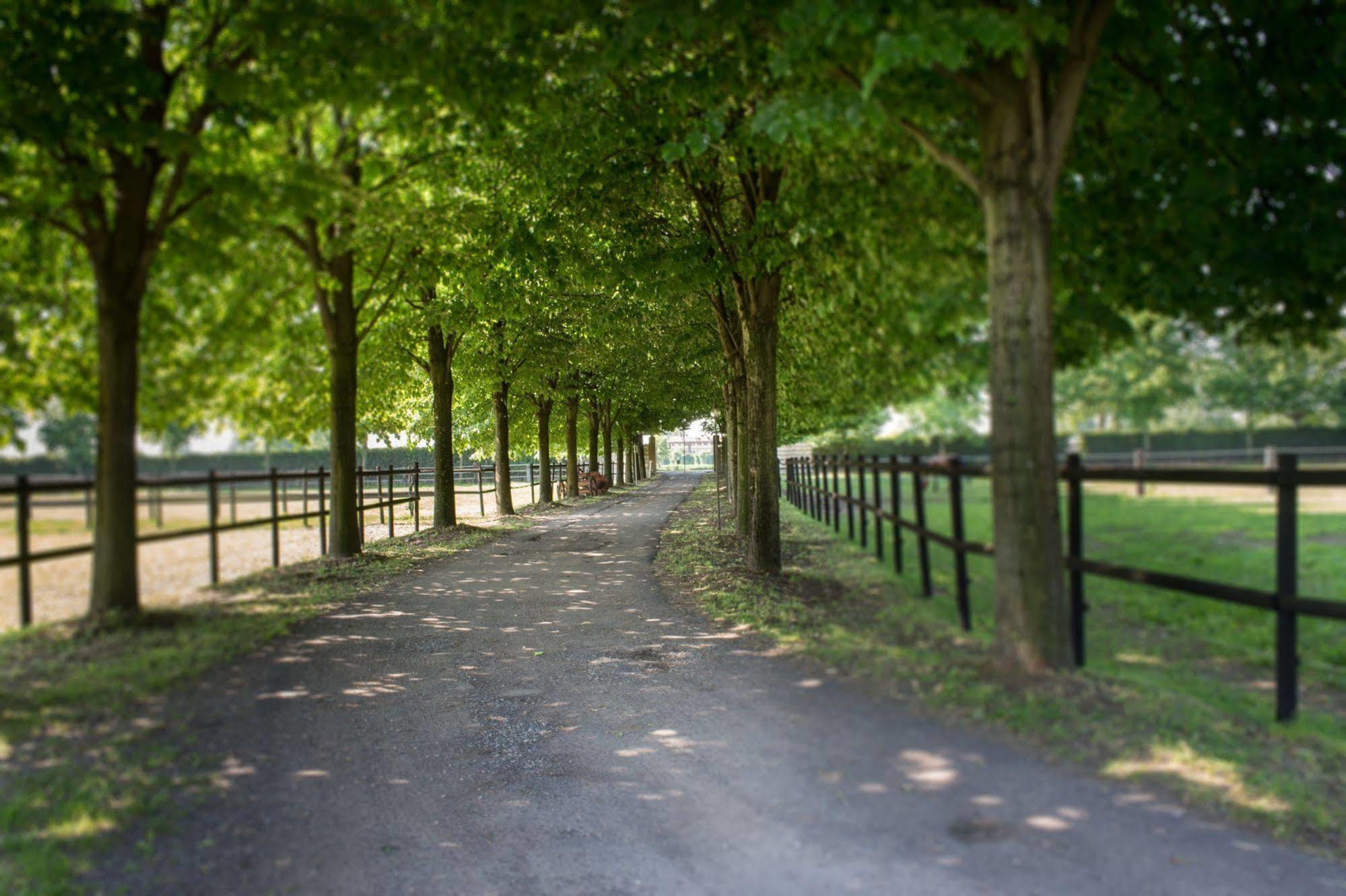 San Giacomo Horses & Agriturismo Arluno Exteriér fotografie